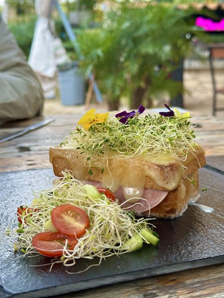 Croque madame con germinado, jamón, queso gratinado y huevo estrellado